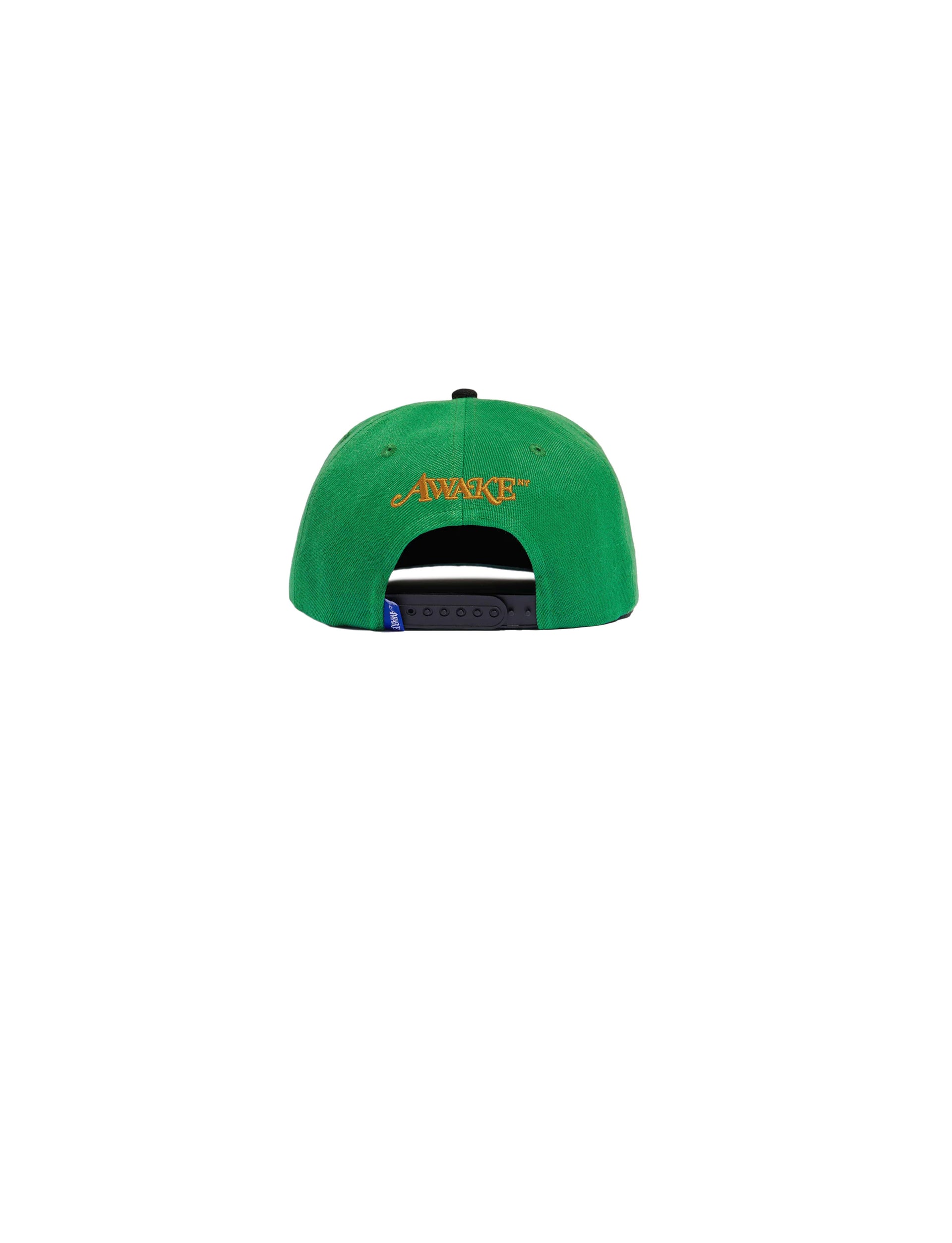 AWAKE NY 5 BOROUGH SNAP BACK QUEENS