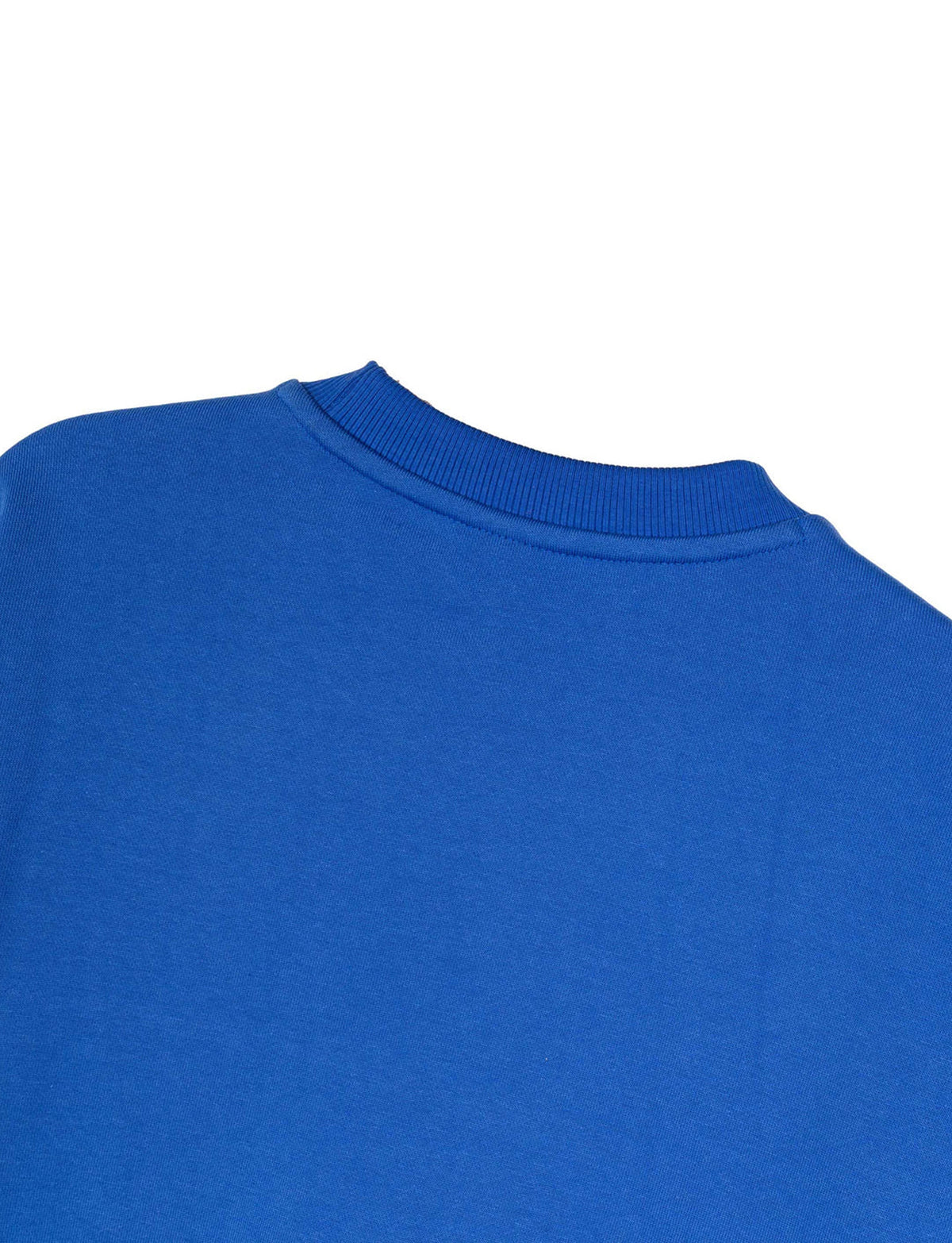 adidas originals Block Sweatshirt blue