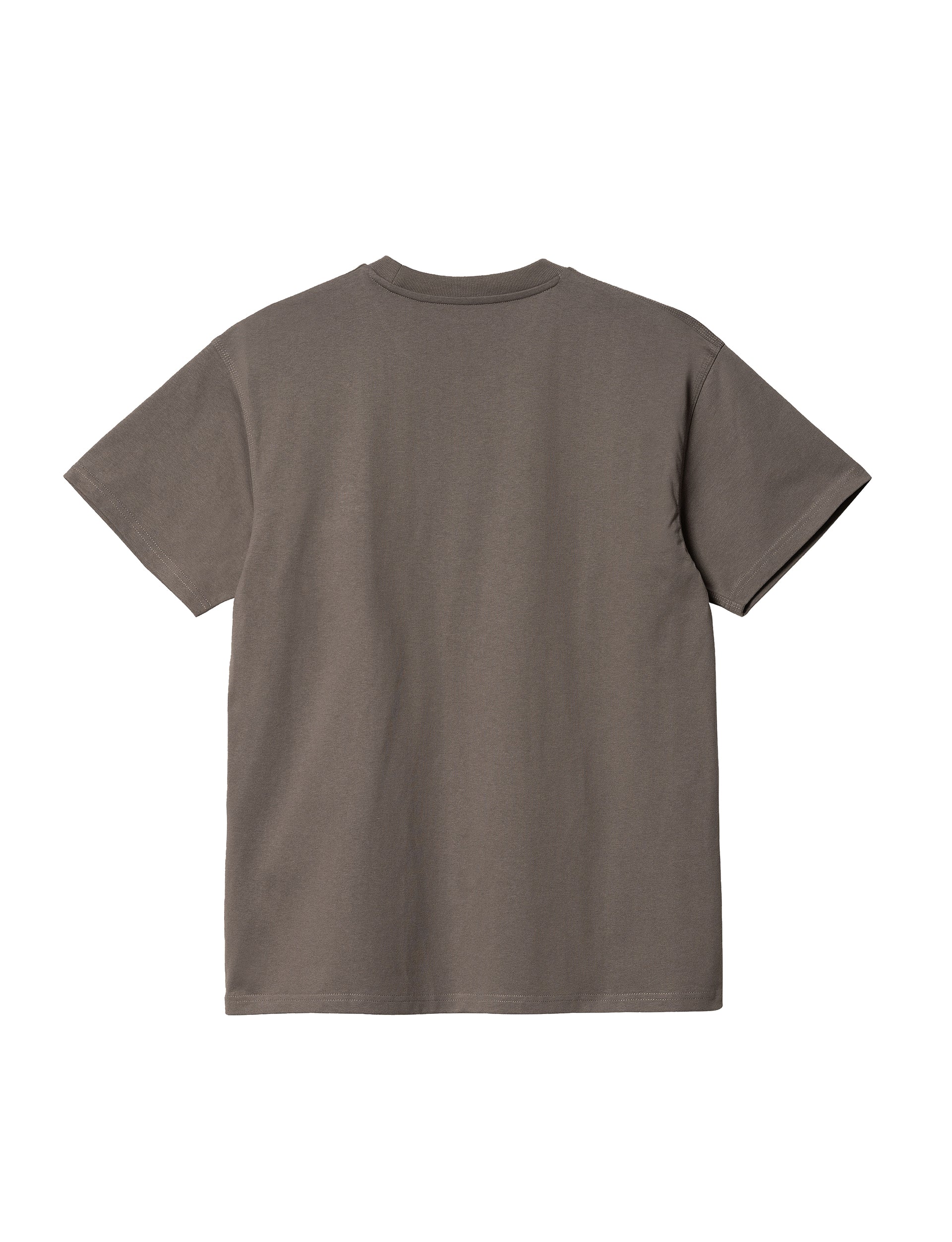 CARHARTT WIP  AMERICAN SCRIPT  S/S T-SHIRT TEIDE