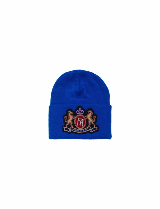 FUCKING AWESOME CREST CLASSIC CUFF BEANIE
